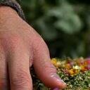 Hand meticulously selecting high-quality botanical ingredients.